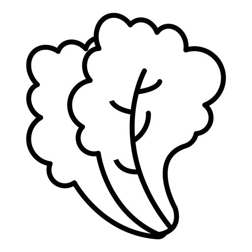 Lettuce Icon