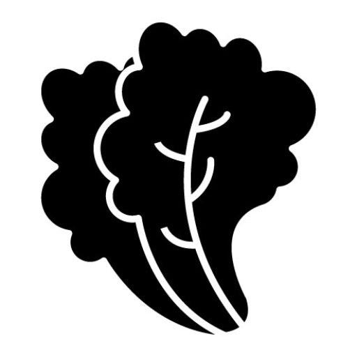 Lettuce Glyph Icon