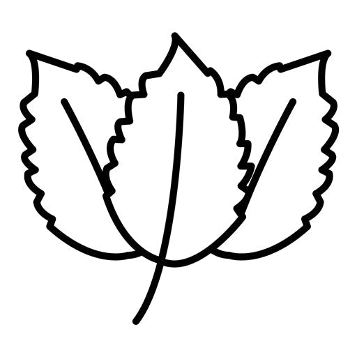 Spearmint Icon