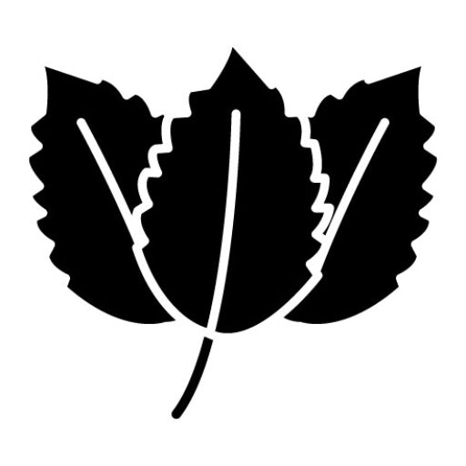 Spearmint Glyph Icon