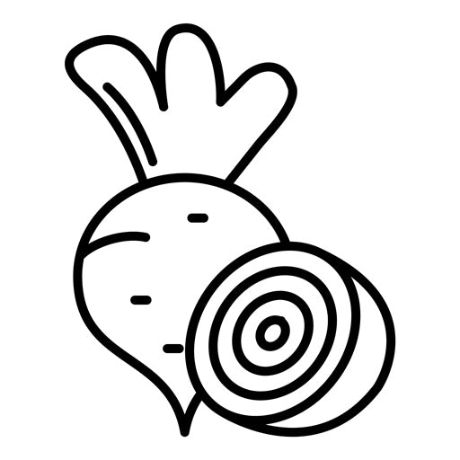 Beet Icon