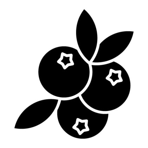 Blueberry Glyph Icon