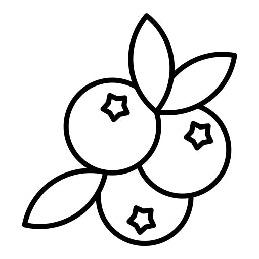 Blueberry Icon