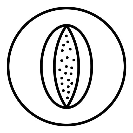 Rockmelon Icon