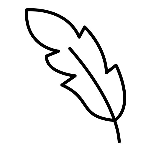 Feather Icon | Tools
