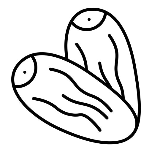 Dates Icon