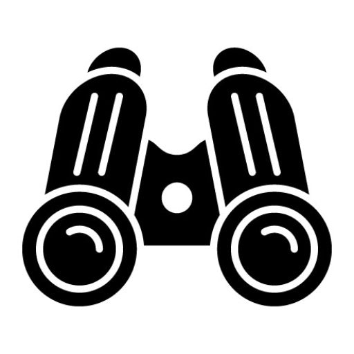 Binocular Glyph Icon | Business and Finance
