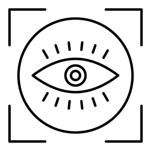 Vision Icon