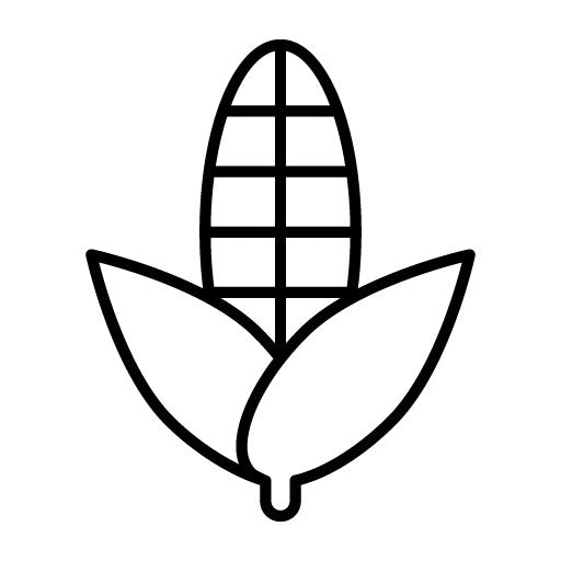 Corn Icon