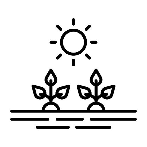 Plantation Icon