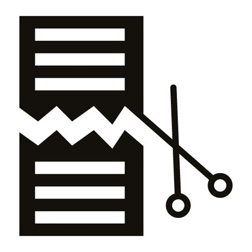Split Bills Glyph Icon