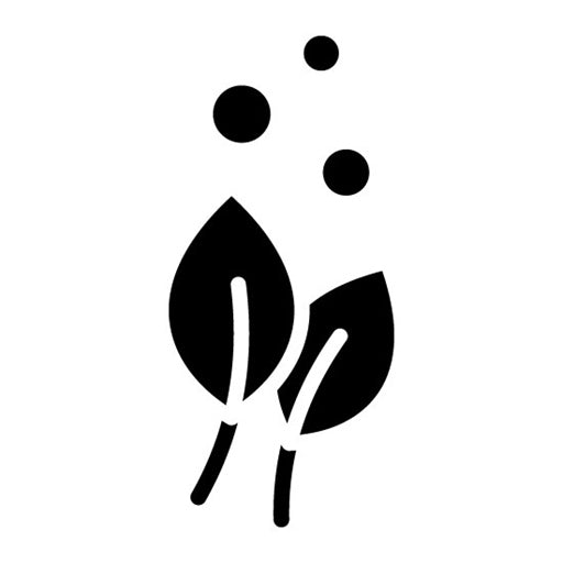 Vegan Glyph Icon | Lifestyles