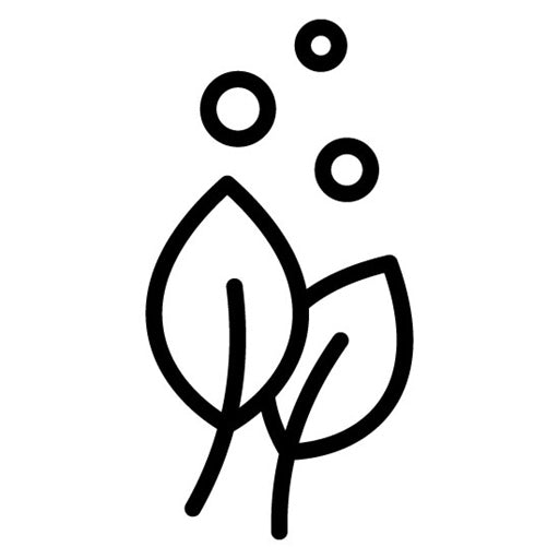 Vegan Icon | Lifestyles